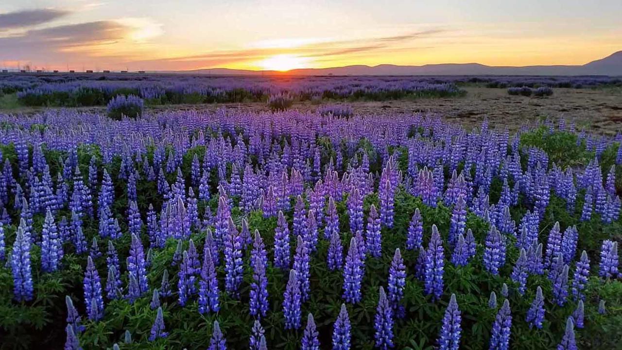 Hotel Selja Hvolsvollur ภายนอก รูปภาพ